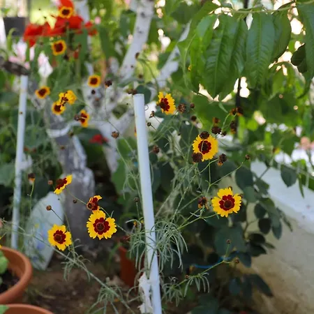 Casa vacanze Christina's House By Guestcorfu *